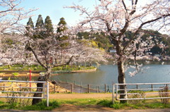 八鶴湖