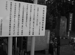 元禄津波