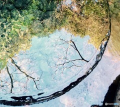 水