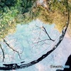 水
