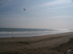 海