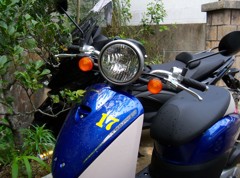 旅の足