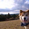 kirara no sato