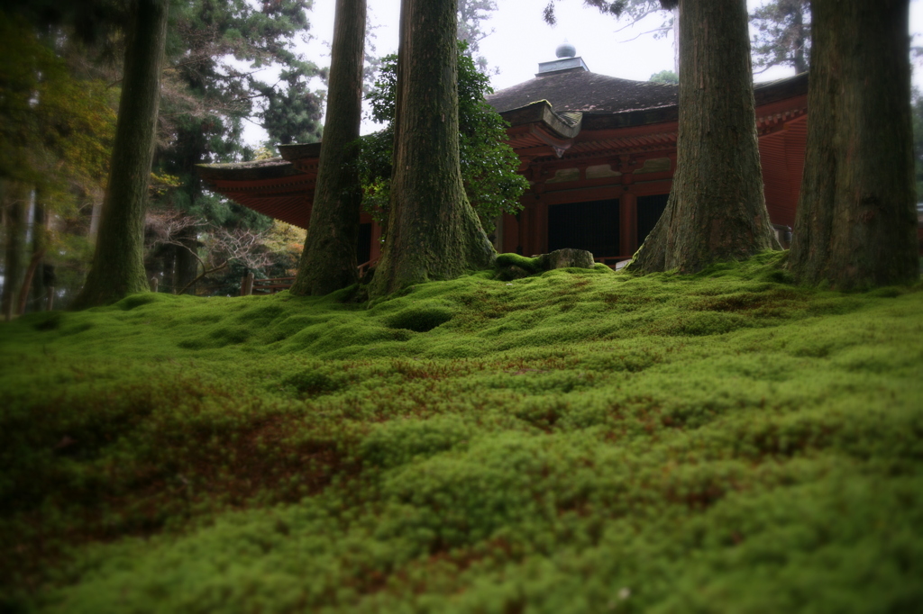 深山のお堂