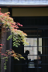 秋の京町家
