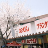 桜まつり