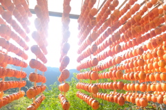 串柿