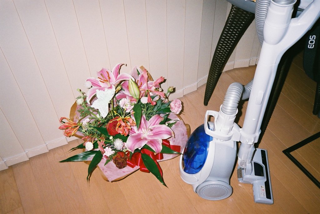 花と掃除機