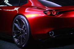 RX-Vision