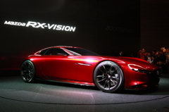 RX-Vision