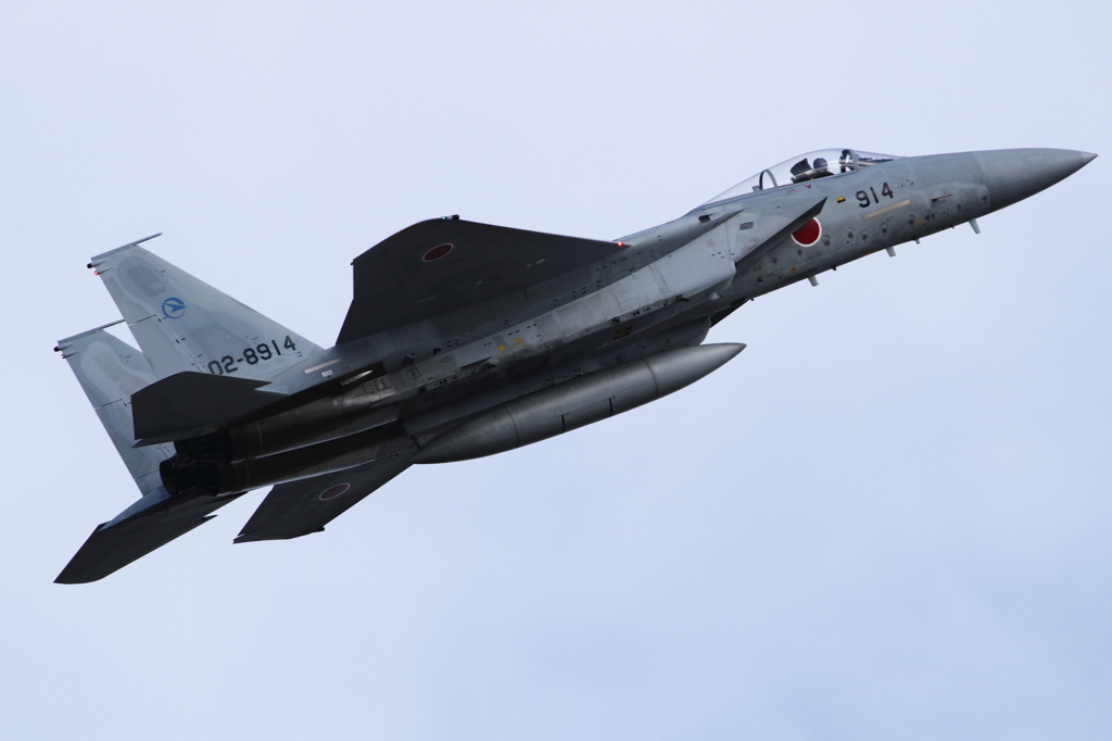 Ｆ－１５＠入間基地祭 2012 No.2