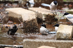 ピタッ(笑) ピタッ(笑)