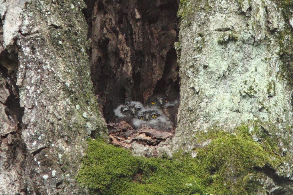 幸せそうな チビズクたち♪