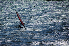 海を見ていた午後