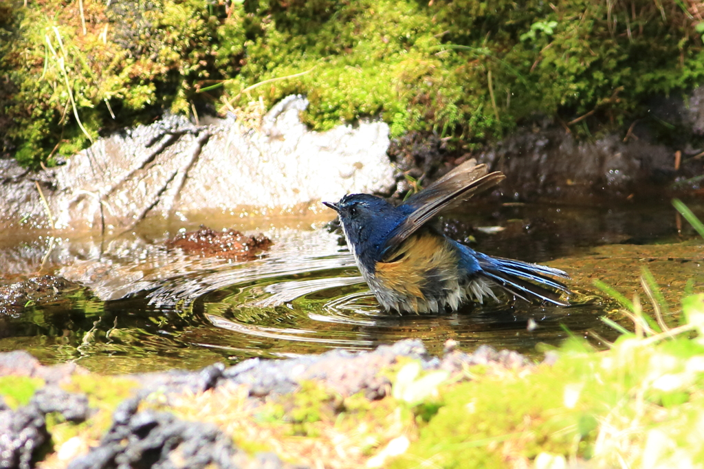 気持ち良さそう＾＾