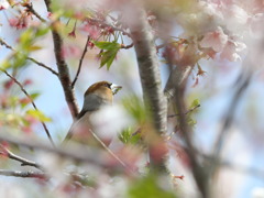 しめしめ　１人占めだ♪