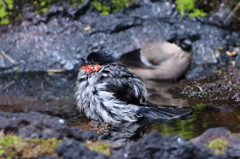 気持ちええなぁぁ～♪