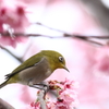 私がスターよ♪