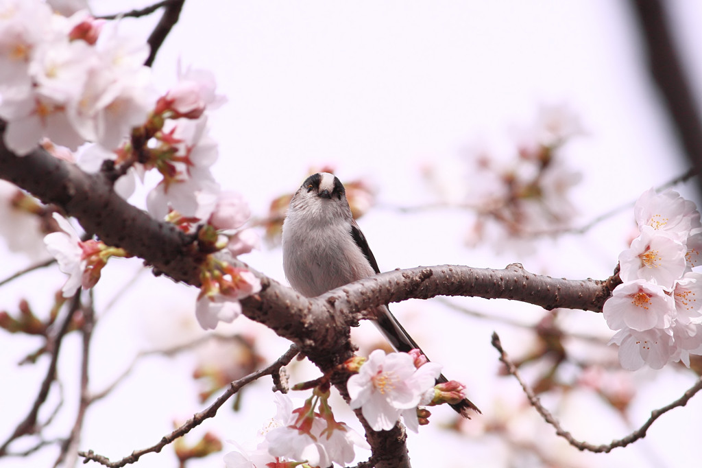 また 来年がんばって～♪