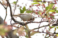 すいません。。
