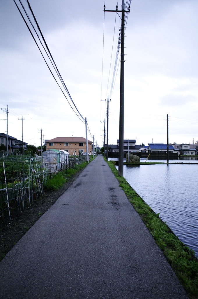 田舎道雨上がりて