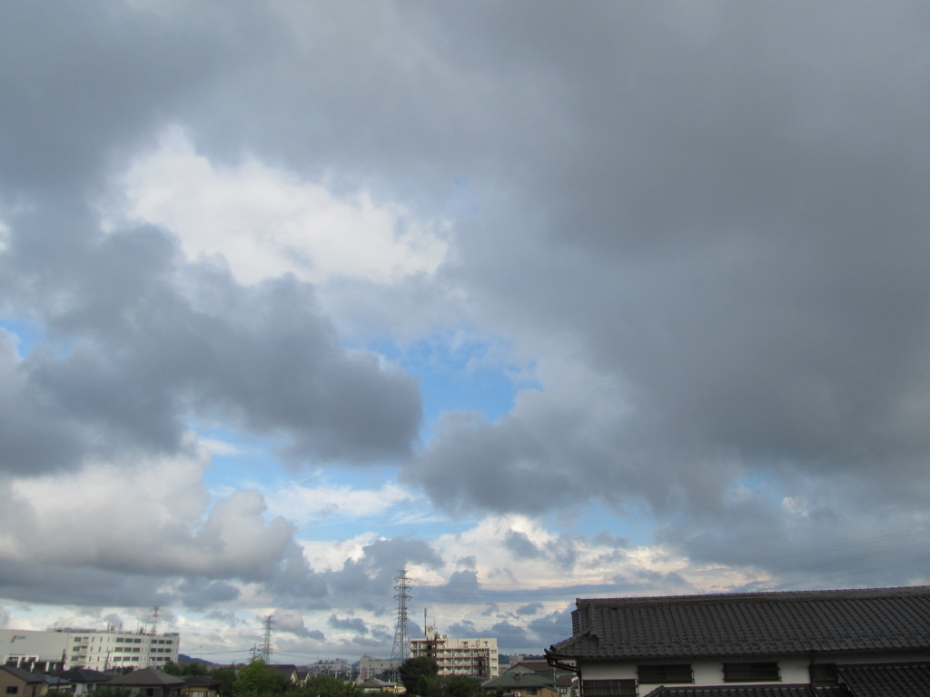 雲の博覧会