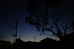 晩御飯は何だろうな