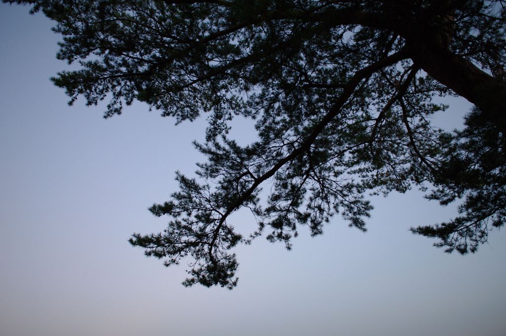 空松