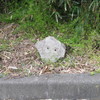僕はここだよ