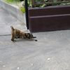 伸び～る
