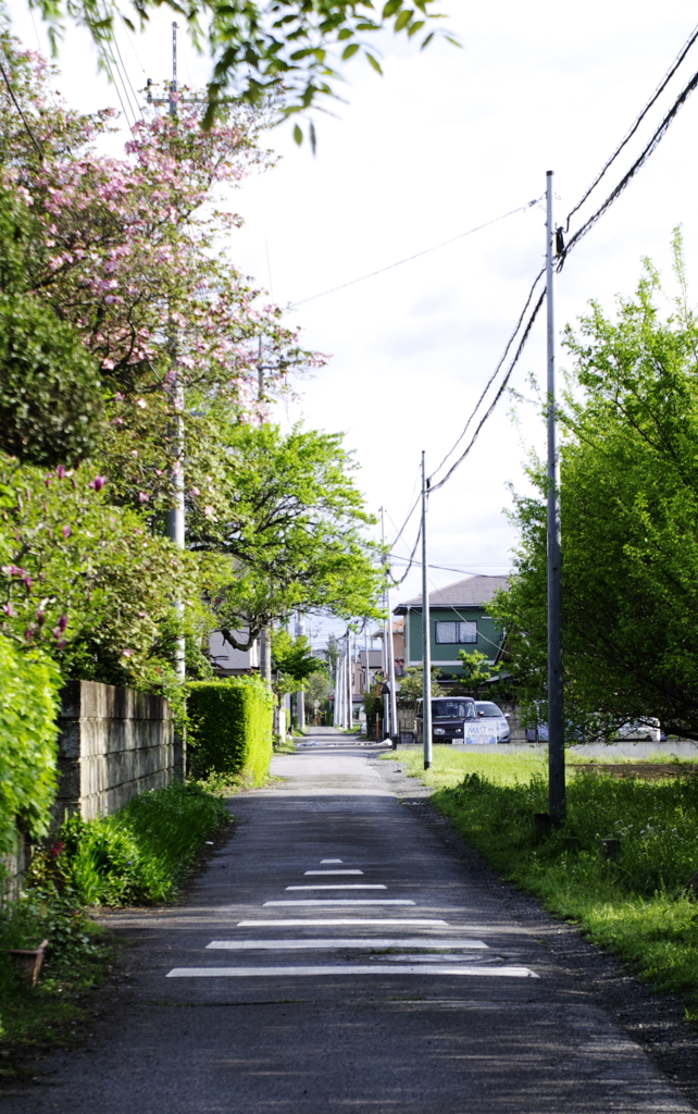 己の信ずる道を行け