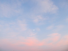 光