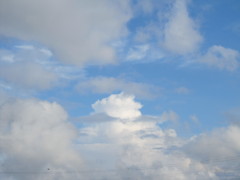 竜の巣じゃ～、雲ですよおじいさん
