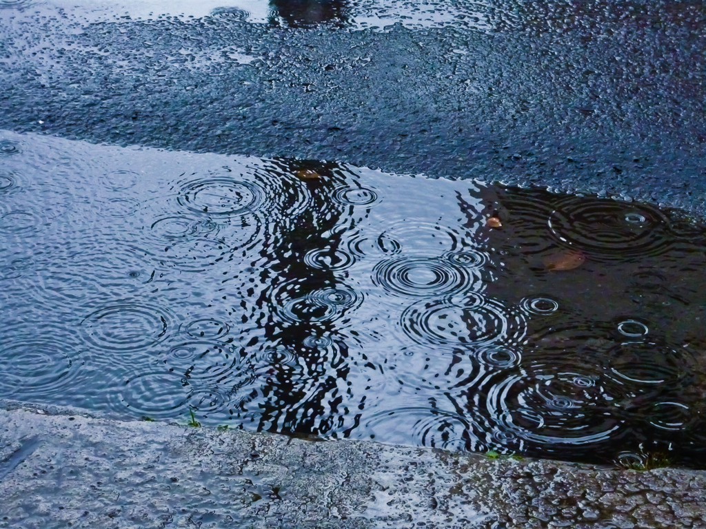 水たまり