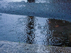 水たまり