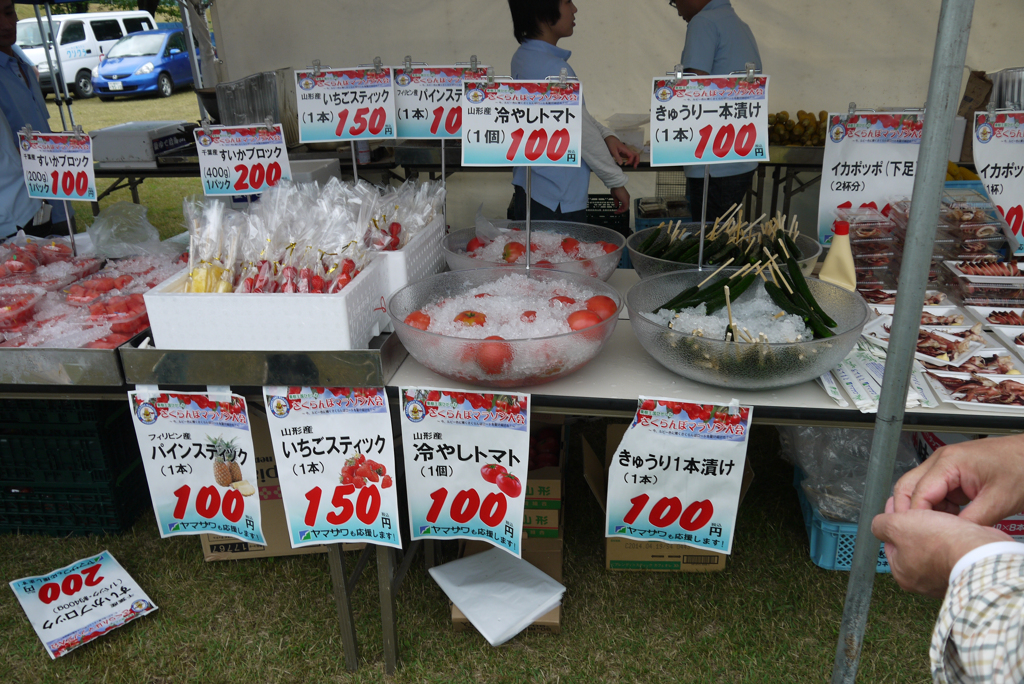 P1030295