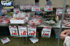 P1030295