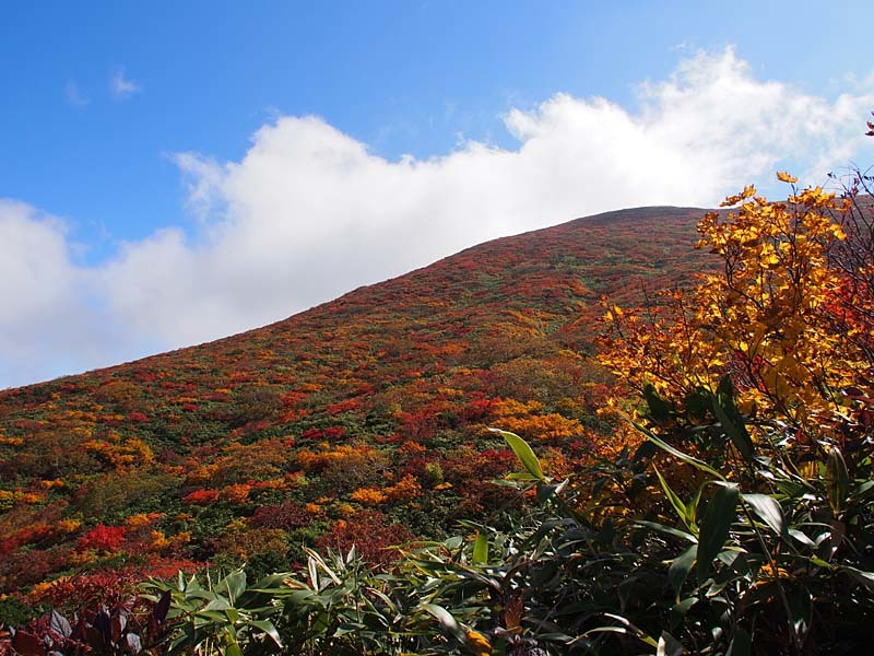 紅葉の栗駒山登山２