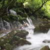 元滝涼景Ⅳ