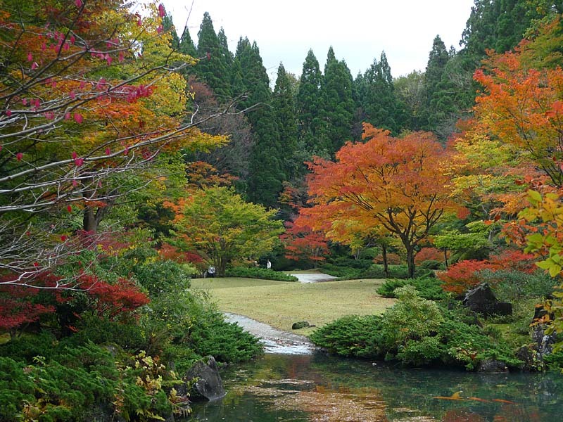 水心苑の紅葉１