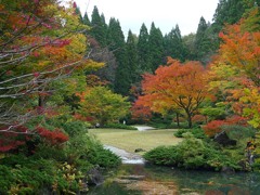 水心苑の紅葉１