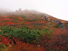 紅葉の栗駒山登山４