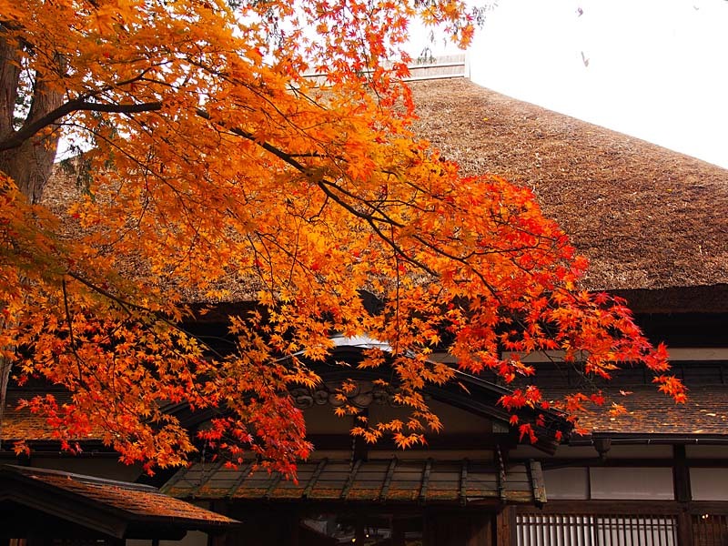 角館武家屋敷と紅葉３