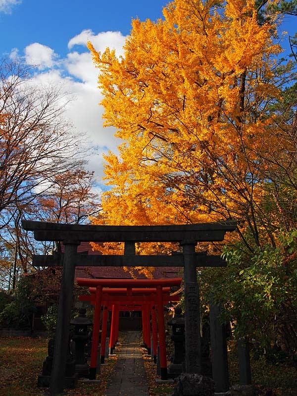 千秋公園紅葉1