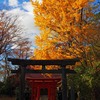 千秋公園紅葉1