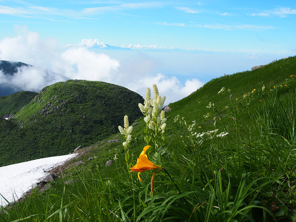 鳥海山に登る