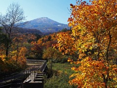 紅葉の鳥海山２