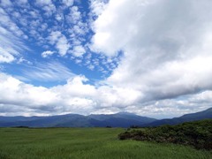 高層湿原の夏