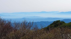 朝靄の山々