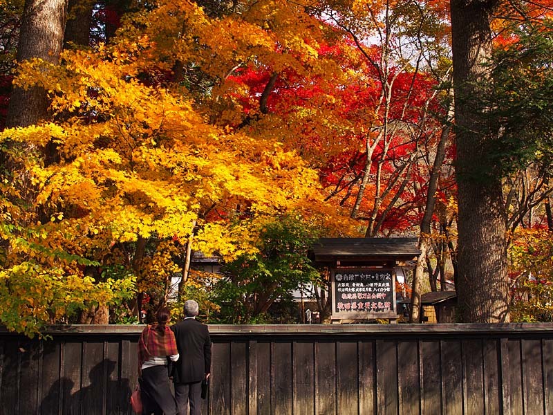 錦秋に染まる角館３